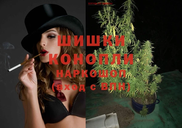 ECSTASY Кукмор