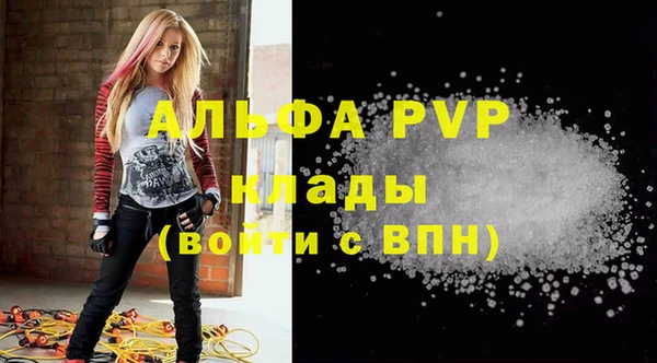 ECSTASY Кукмор