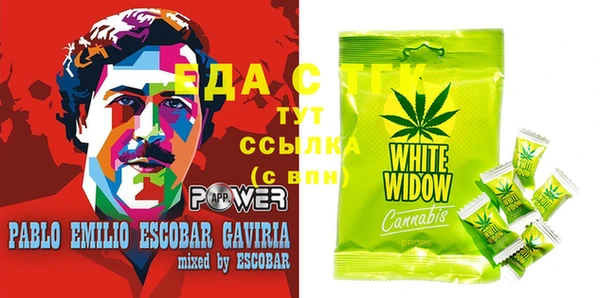 ECSTASY Кукмор