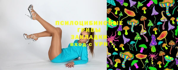 ECSTASY Кукмор